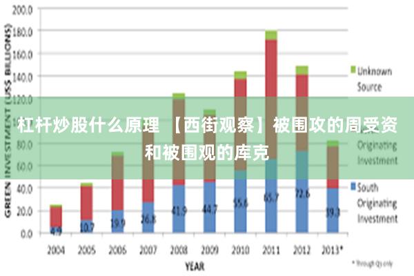 杠杆炒股什么原理 【西街观察】被围攻的周受资和被围观的库克