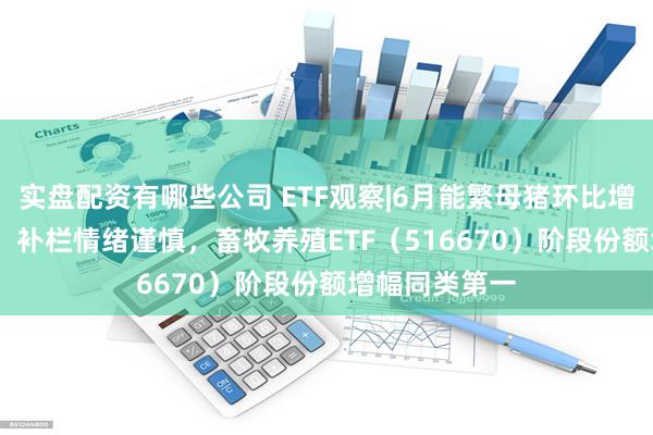 实盘配资有哪些公司 ETF观察|6月能繁母猪环比增1.1%，机构：补栏情绪谨慎，畜牧养殖ETF（516670）阶段份额增幅同类第一