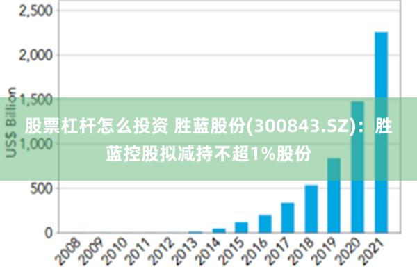 股票杠杆怎么投资 胜蓝股份(300843.SZ)：胜蓝控股拟