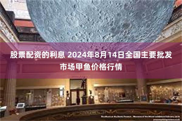 股票配资的利息 2024年8月14日全国主要批发市场甲鱼价格