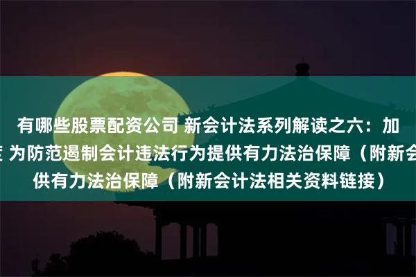 有哪些股票配资公司 新会计法系列解读之六：加大法律责任追究力度 为防范遏制会计违法行为提供有力法治保障（附新会计法相关资料链接）