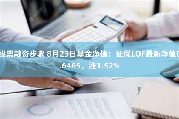 股票融资步骤 8月23日基金净值：证保LOF最新净值0.6465，涨1.52%