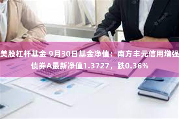 美股杠杆基金 9月30日基金净值：南方丰元信用增强债券A最新净值1.3727，跌0.36%