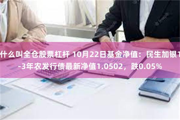 什么叫全仓股票杠杆 10月22日基金净值：民生加银1-3年农发行债最新净值1.0502，跌0.05%