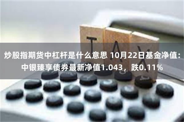 炒股指期货中杠杆是什么意思 10月22日基金净值：中银臻享债券最新净值1.043，跌0.11%