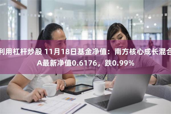 利用杠杆炒股 11月18日基金净值：南方核心成长混合A最新净