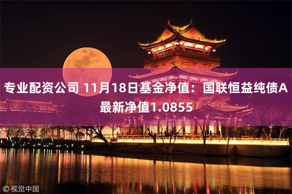 专业配资公司 11月18日基金净值：国联恒益纯债A最新净值1.0855