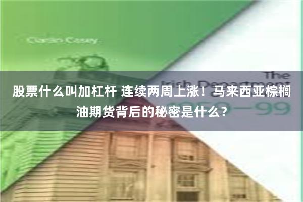 股票什么叫加杠杆 连续两周上涨！马来西亚棕榈油期货背后的秘密是什么？