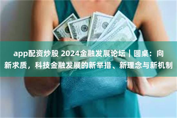 app配资炒股 2024金融发展论坛｜圆桌：向新求质，科技金融发展的新举措、新理念与新机制