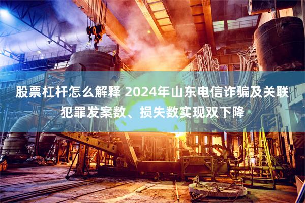 股票杠杆怎么解释 2024年山东电信诈骗及关联犯罪发案数、损失数实现双下降