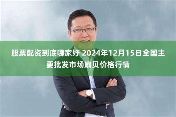 股票配资到底哪家好 2024年12月15日全国主要批发市场扇贝价格行情