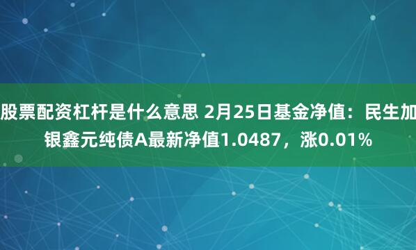 股票配资杠杆是什么意思 2月25日基金净值：民生加银鑫元纯债A最新净值1.0487，涨0.01%