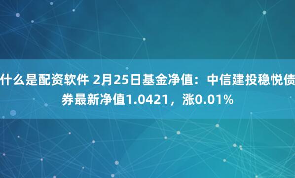 什么是配资软件 2月25日基金净值：中信建投稳悦债券最新净值1.0421，涨0.01%